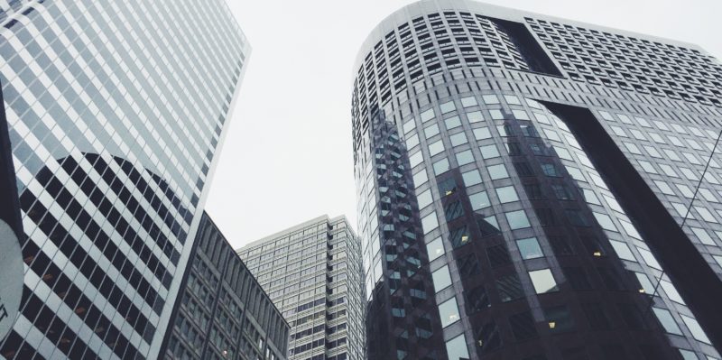 Business Formation and Capitalization